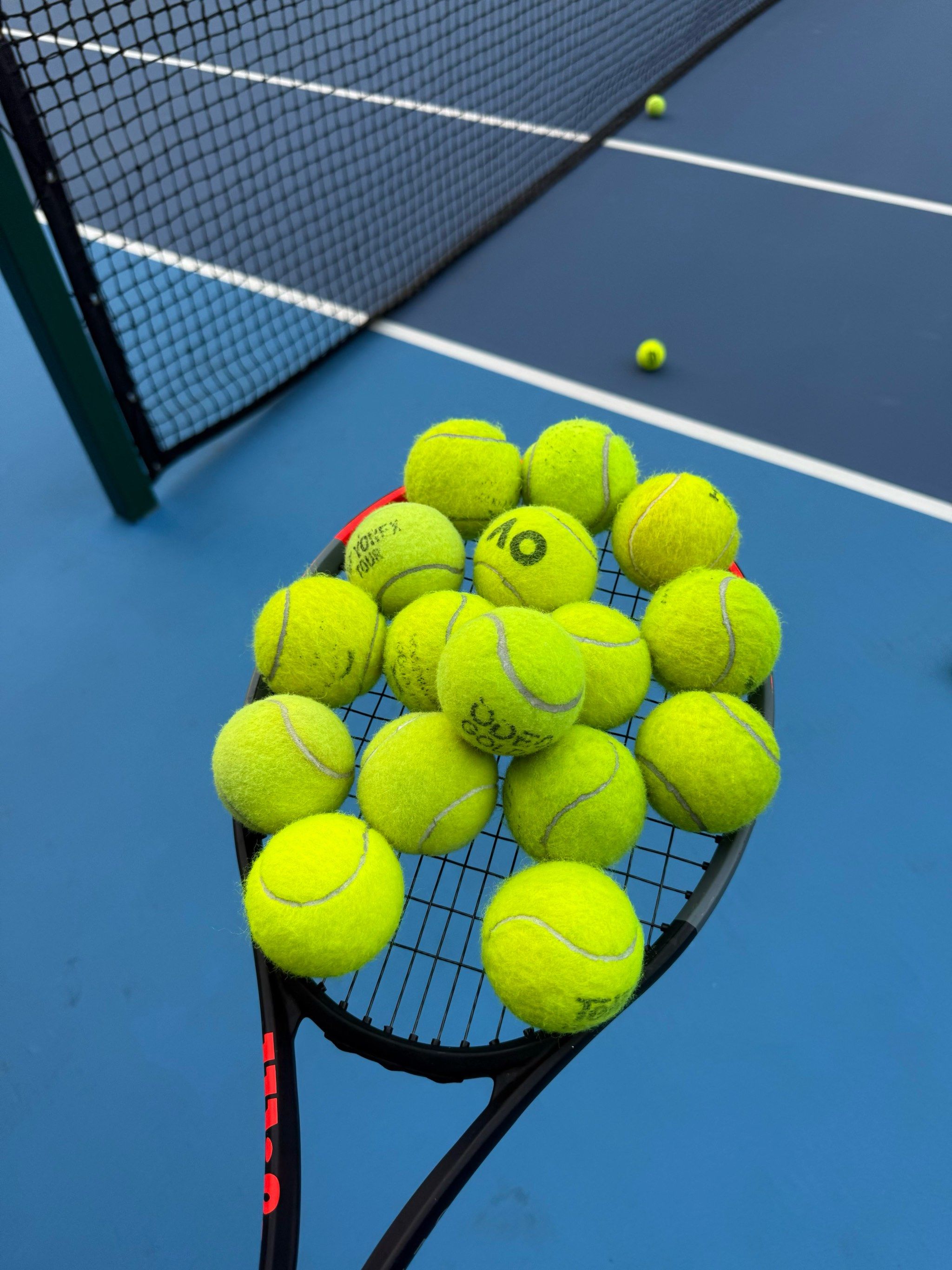 狂热支持而 狂热支持而